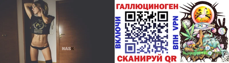 сколько стоит  Томари  Галлюциногенные грибы Psilocybine cubensis 